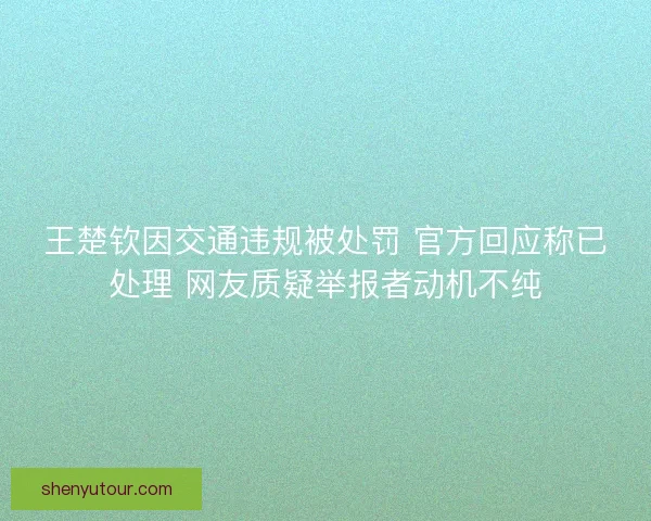 王楚钦因交通违规被处罚 官方回应称已处理 网友质疑举报者动机不纯
