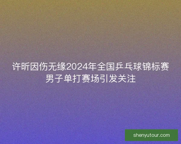 许昕因伤无缘2024年全国乒乓球锦标赛男子单打赛场引发关注