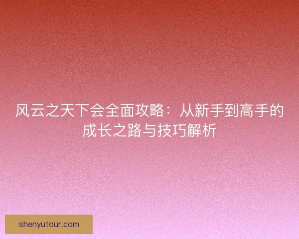 风云之天下会全面攻略：从新手到高手的成长之路与技巧解析